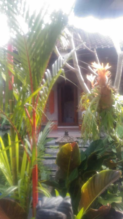 Dewi Antara Homestay Ουμπούντ Εξωτερικό φωτογραφία